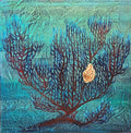 Timothy Toomey - Underwater Scenes # 11