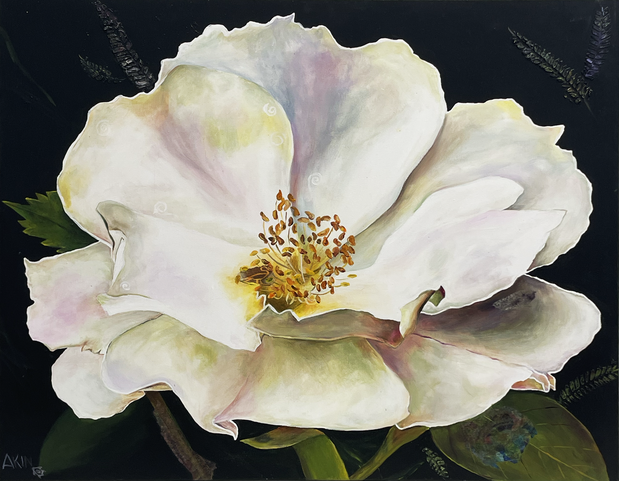 Jane Akin - Wild Wild Rose