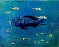 Timothy Toomey - Assorted Underwater Scenes #8