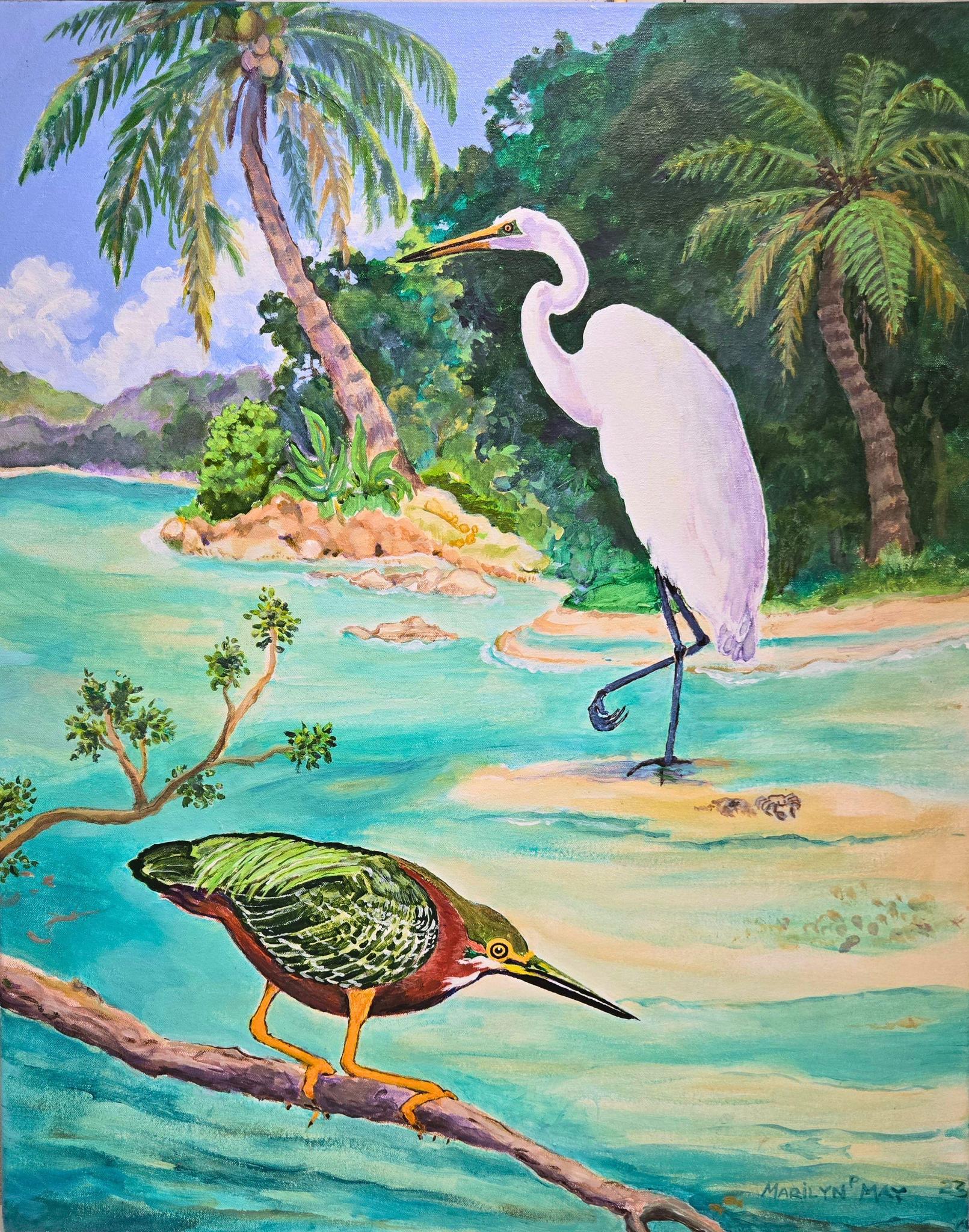 Marilyn May - Little Green Heron & Friend