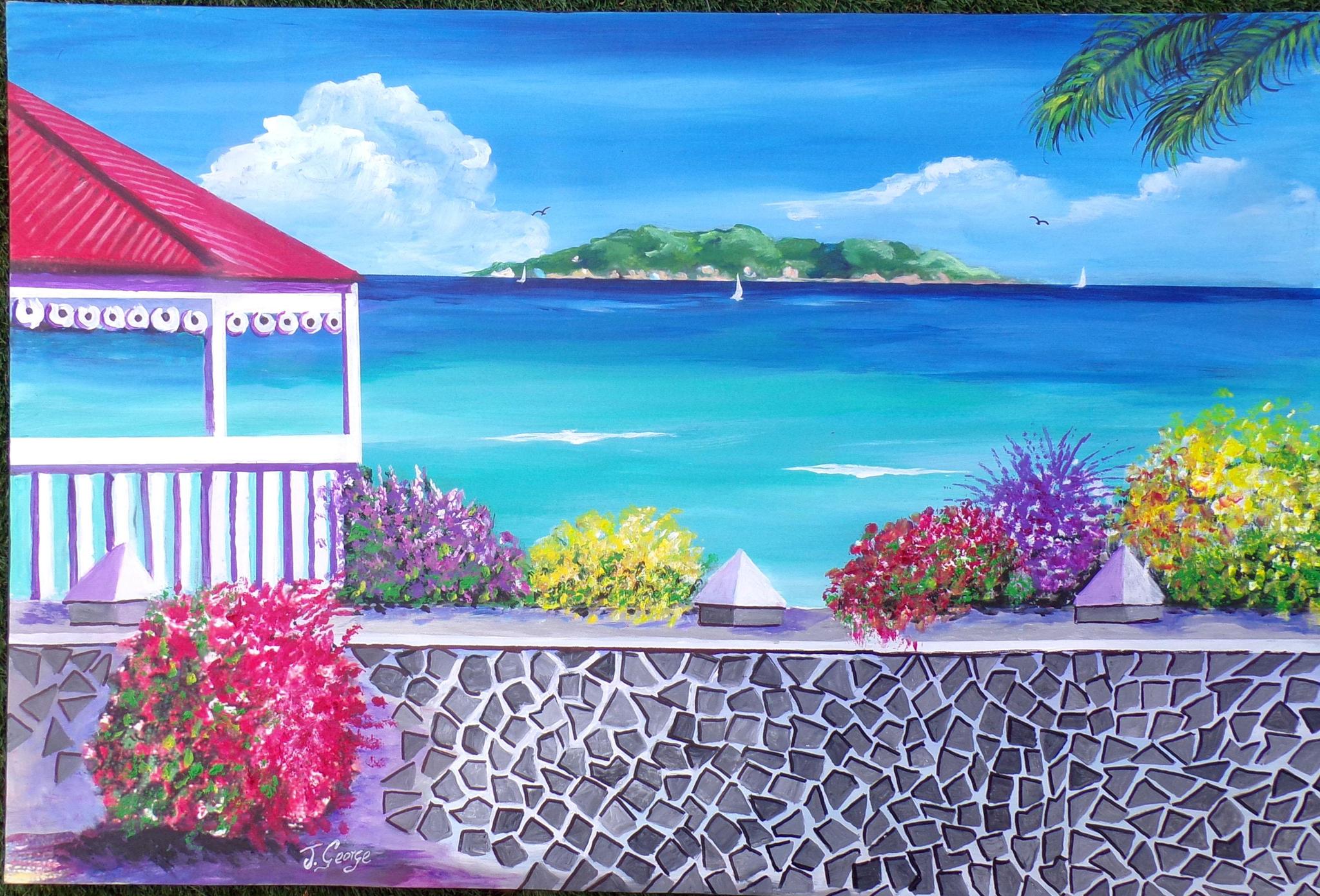 Joffre George - Buck Island View