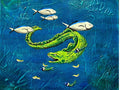 Timothy Toomey - Assorted Underwater Scenes #1
