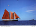 Diane Butler - Tall Ship