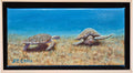 Steve Weidert - Two Turtles In Sea Grass