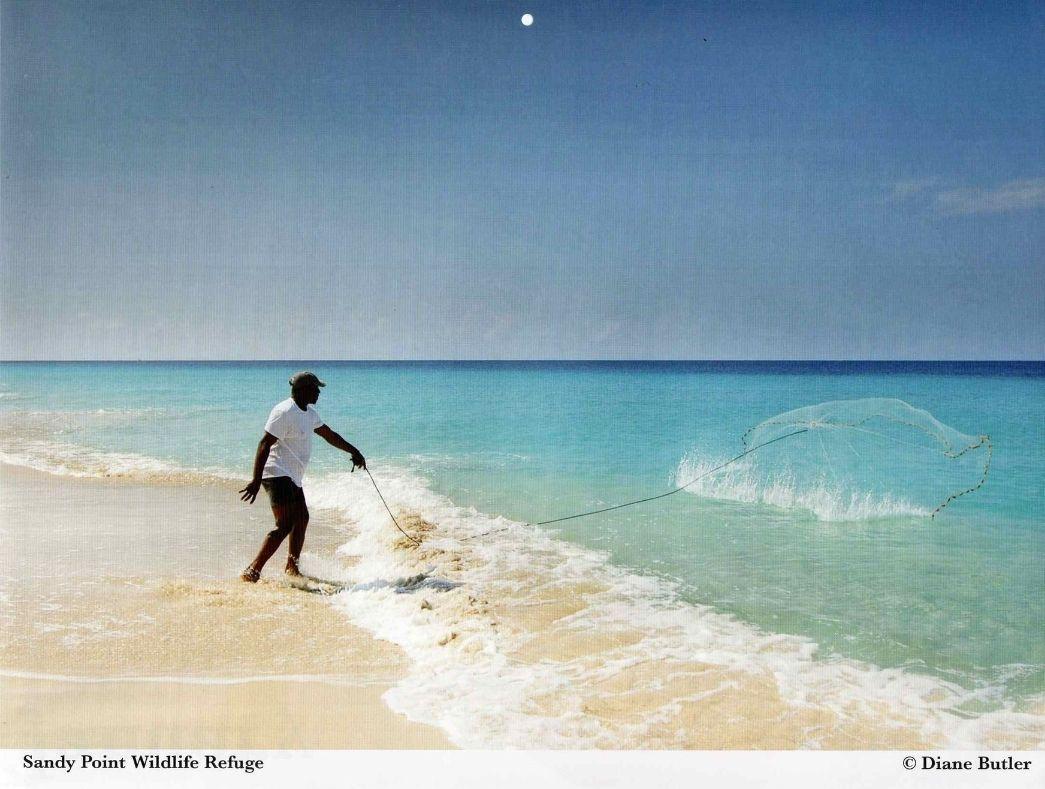 Diane Butler - Fisherman
